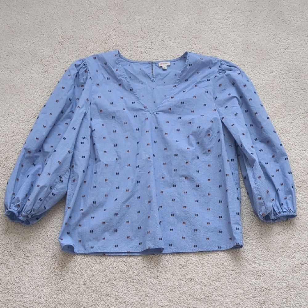 Daniel Cremieux Blue Blouse with Pattern